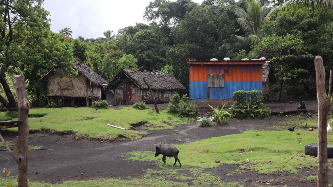 Tanna