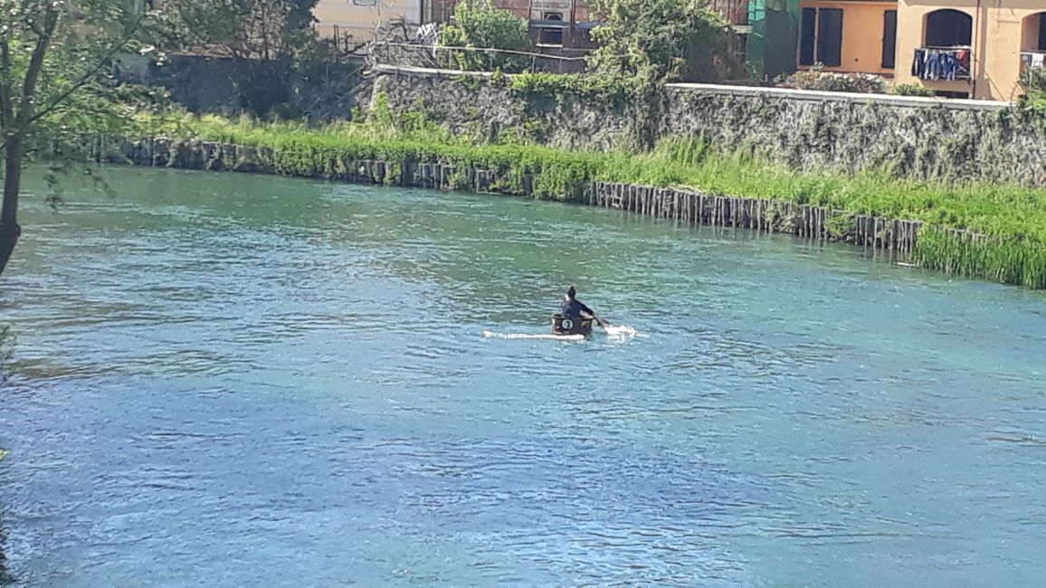 Hier versucht jemand im Fass zu rudern.