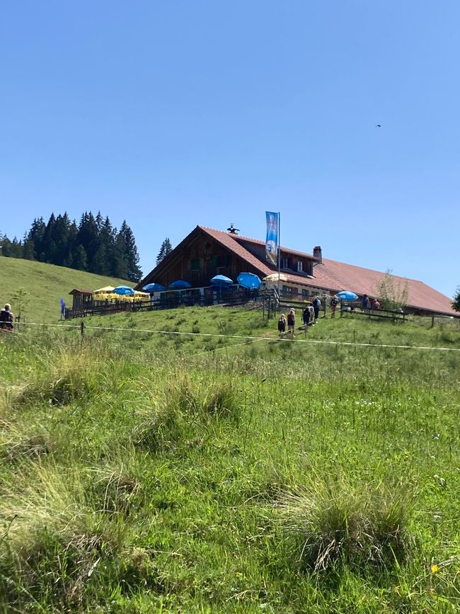 Heidi…es gibt sie noch, nur jetzt auf der Alpe Reuterwanne