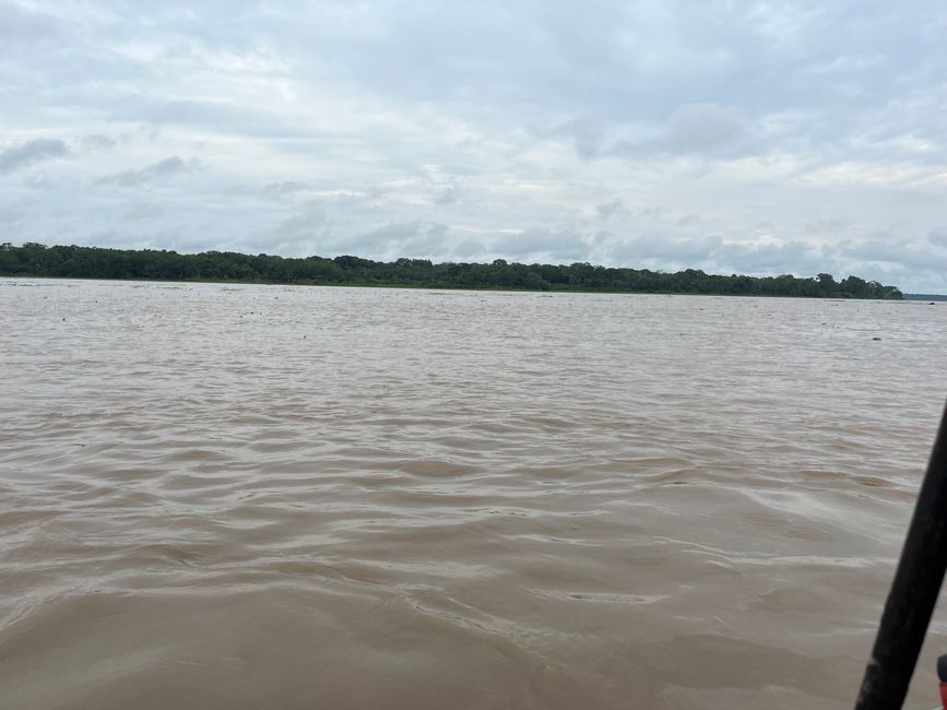 Amazonas Río