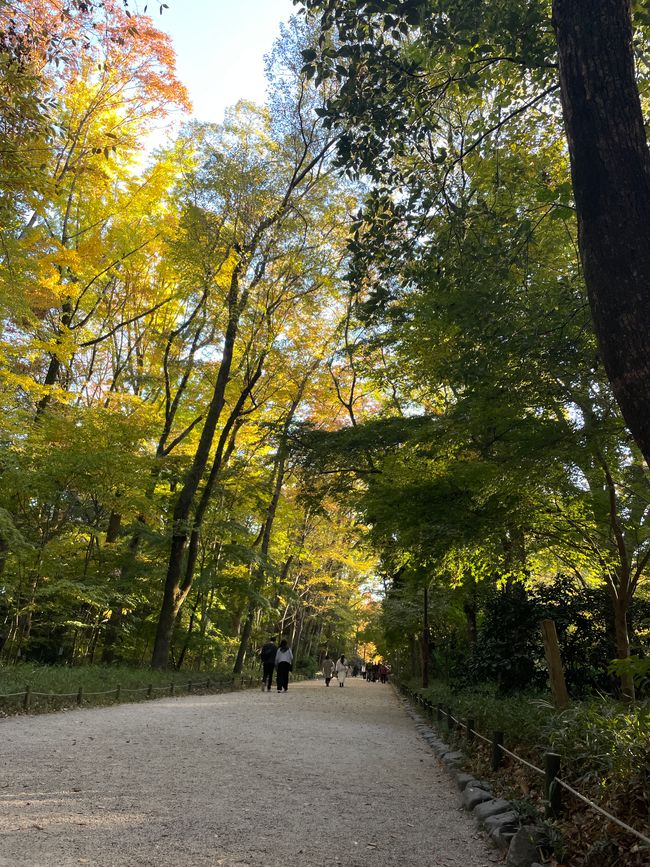 22.Kapitel: Niinamatsuri, ein Sonntag in Kyoto