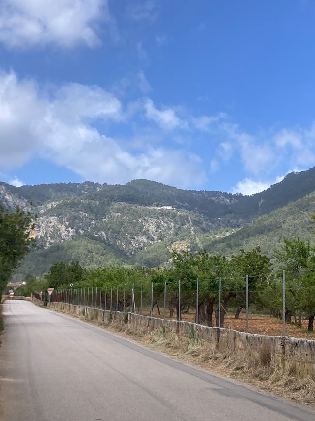 Mit dem Fahrrad von Binissalem zum Castle d‘ Alaro