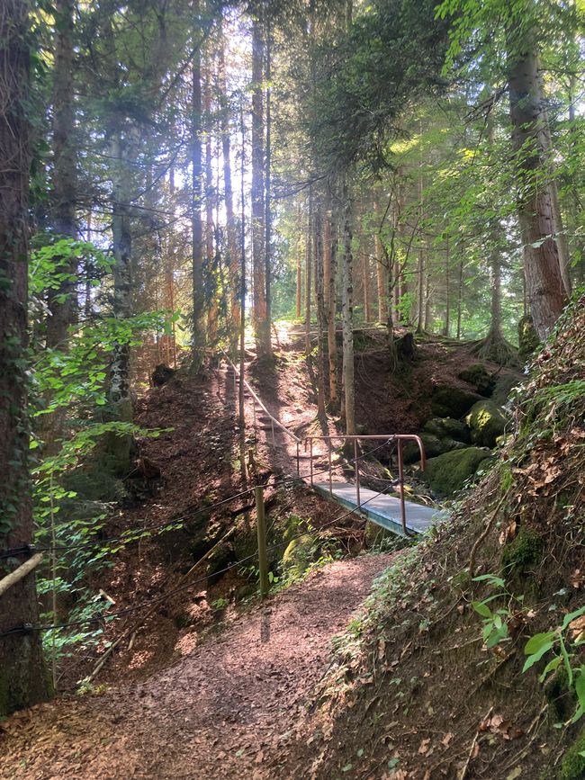 Das Wandern ist des Fischers  Lust-Ellegghöhe