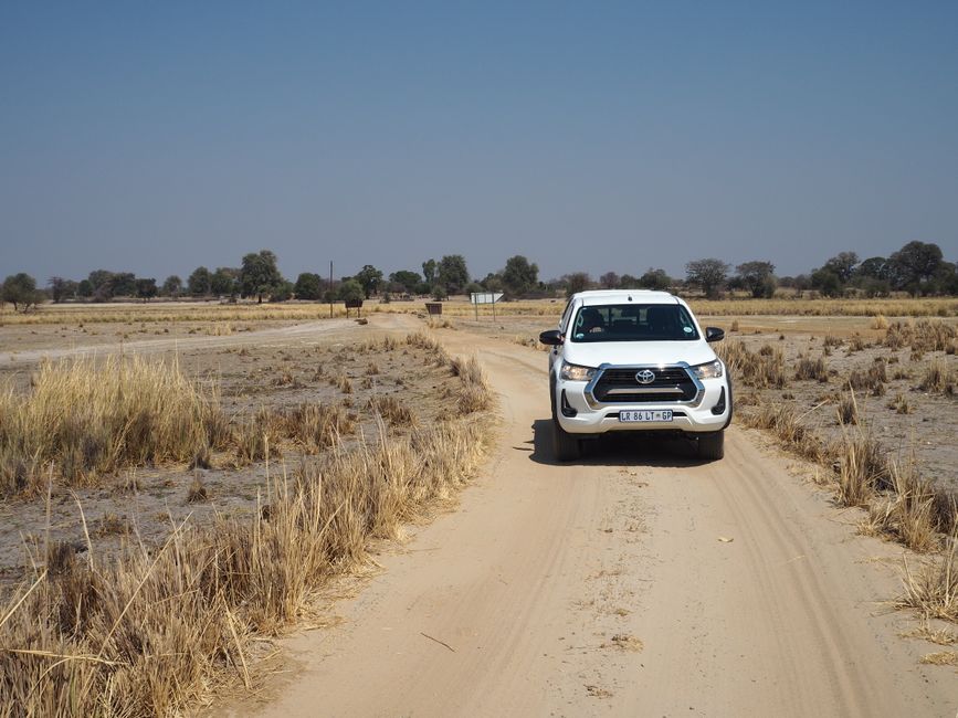 Safari pur-das Abenteuer beginnt