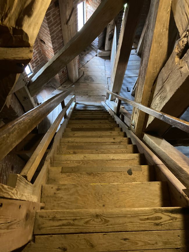 Dom St. Nicolai - 3 Meter fehlen bis 100 Meter