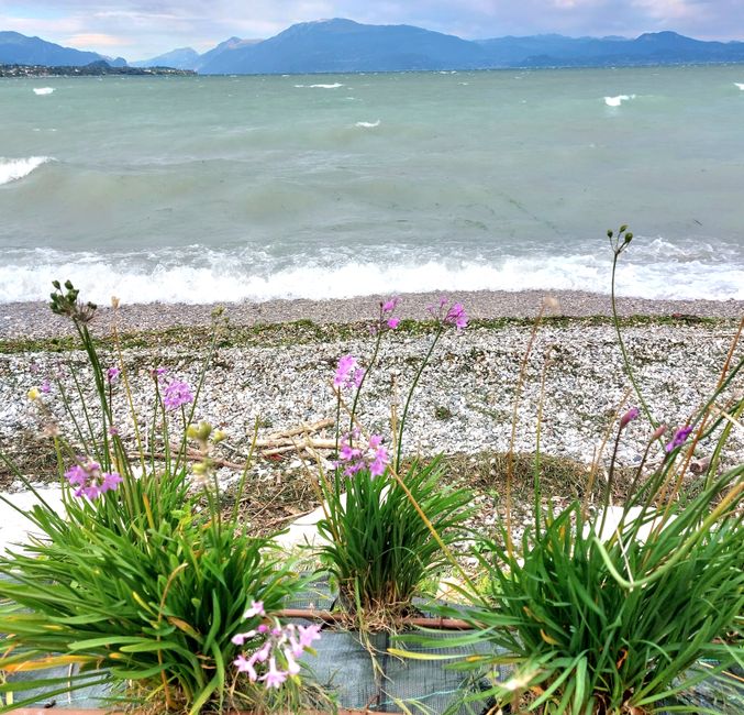Auf geht's an den Gardasee