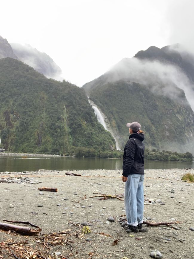 Road trip to Milford Sound