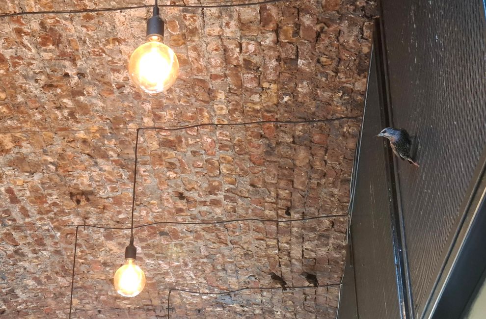 Tag 2 in London