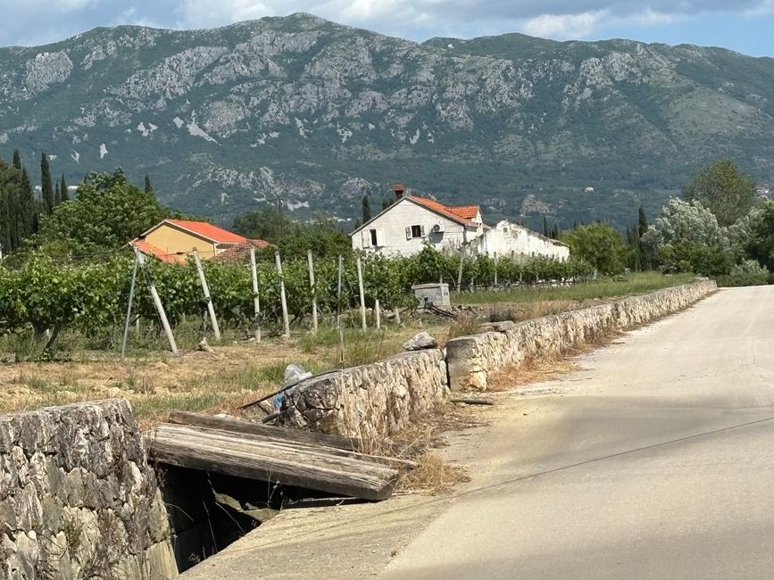 Dalla baia di Kotor a Mlini