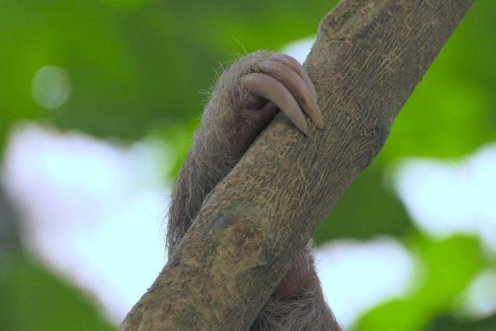 Costa Rica 2025