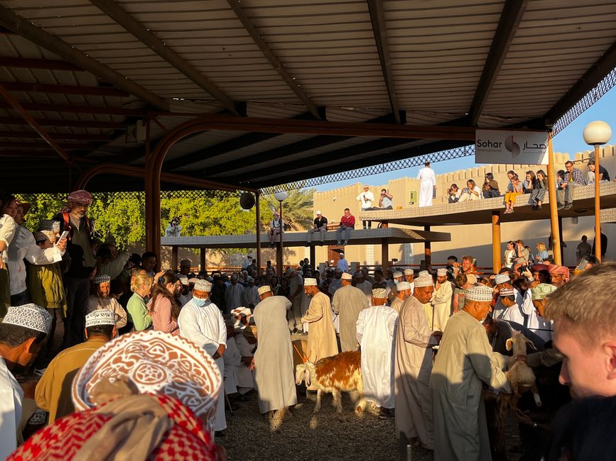 Nizwa