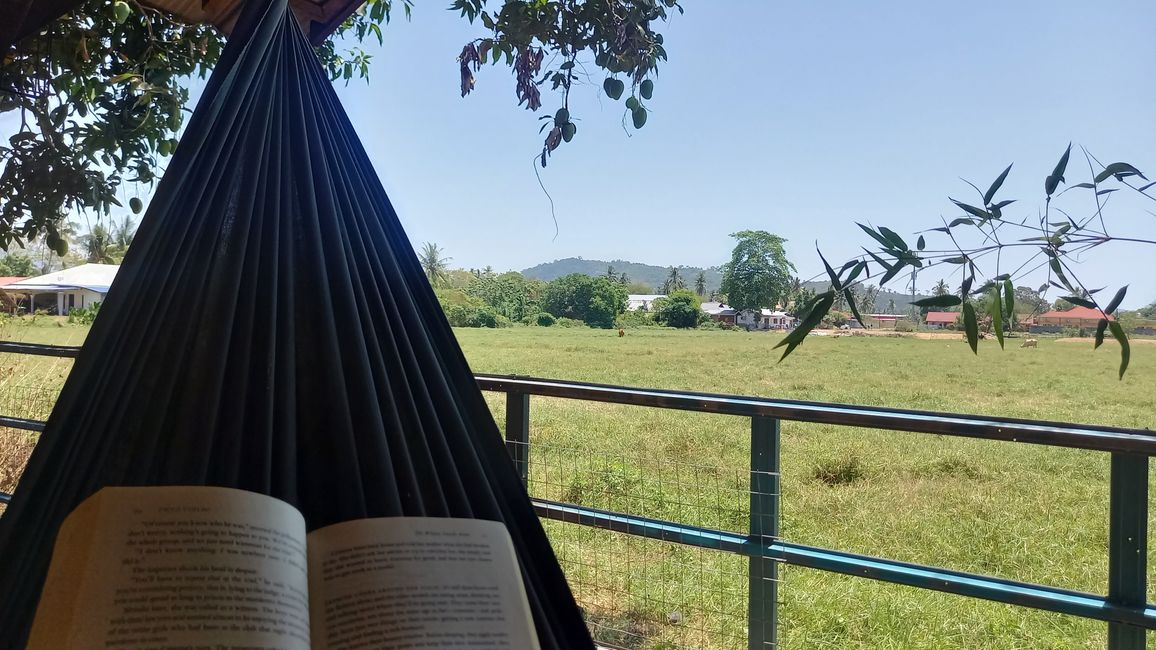 Hamacs et livres en solo