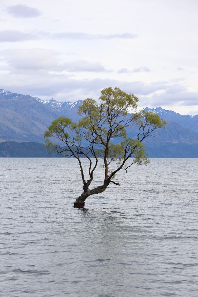 Über Wanaka zurück nach CHC