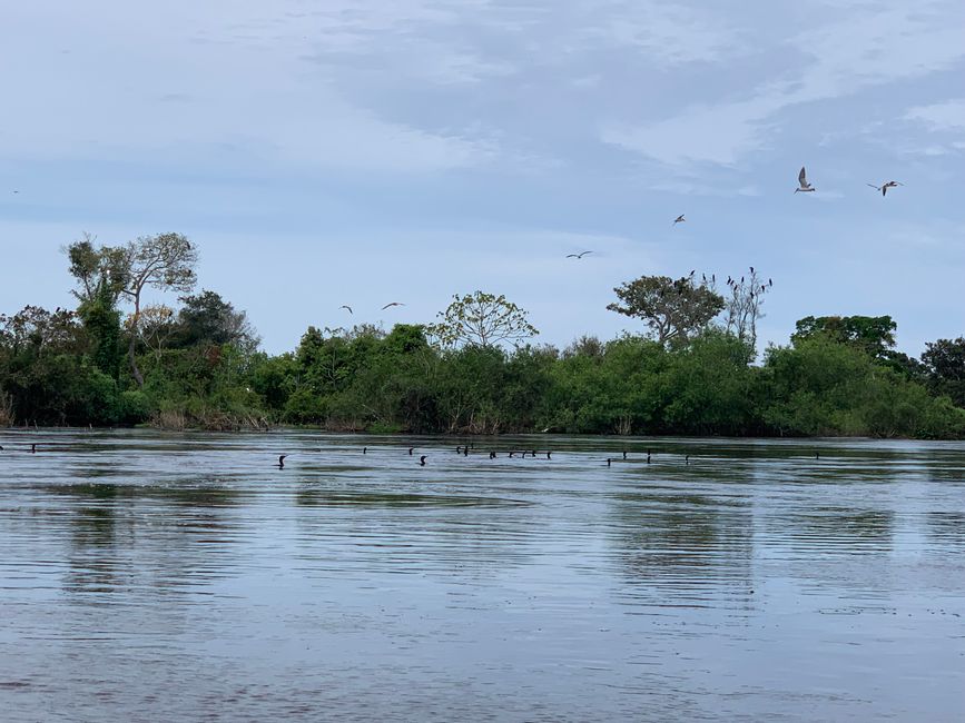 Trinidad (Chuchini Reservat)