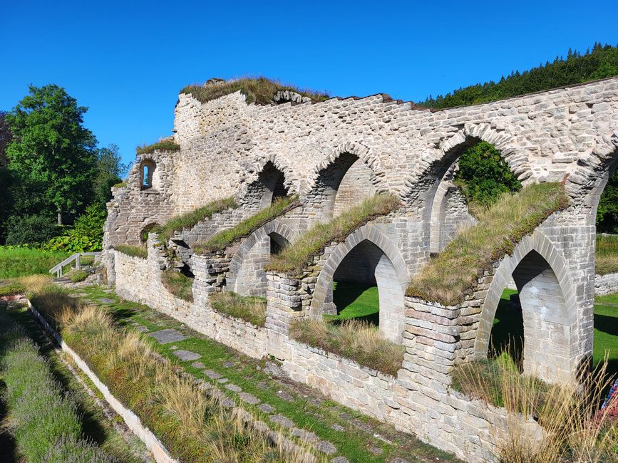 Klosterruine Alvastra