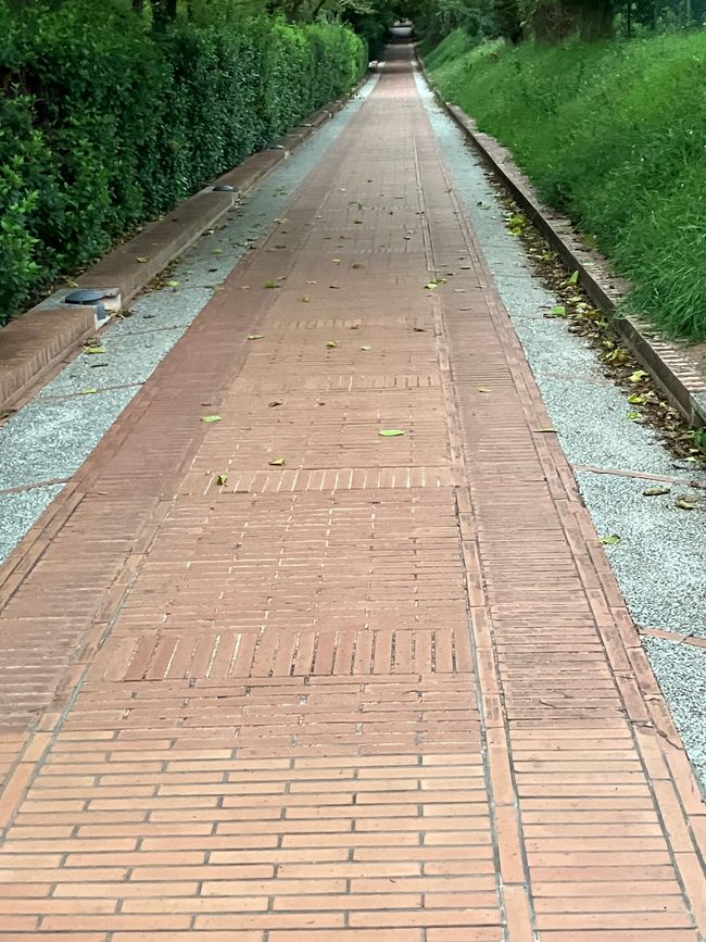 Tag 2 in Assisi
