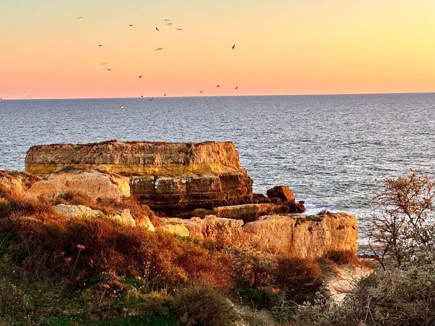 Praia da Falésia, Algarve 