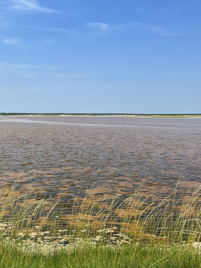 El Parque Nacional Etosha