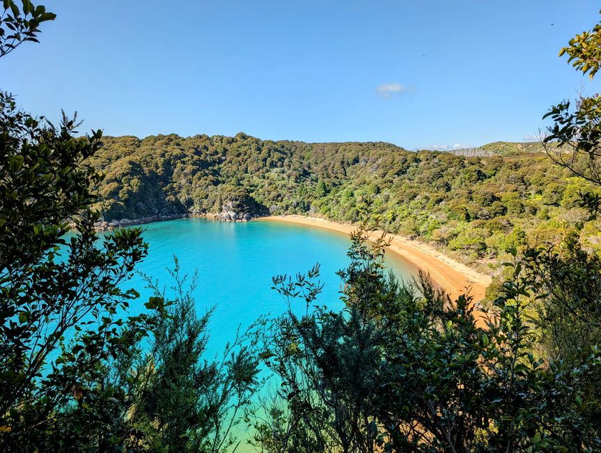 Auf ein paar Worte in Abel 
Tasman