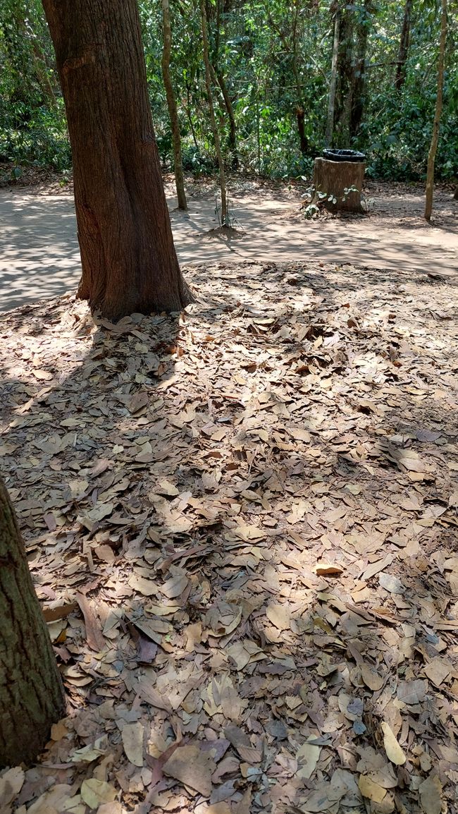 Cu Chi Tunnel