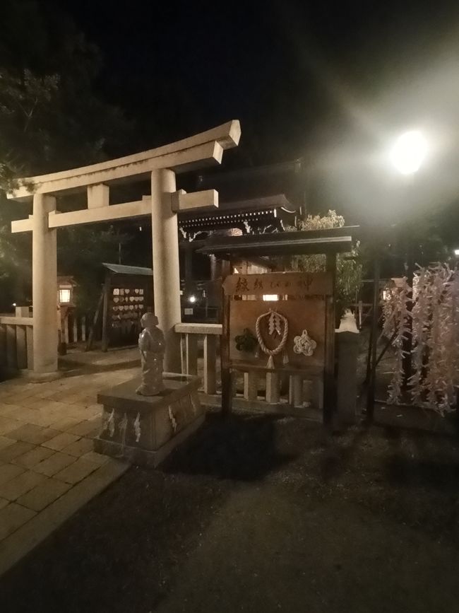 Nachts in Kyoto