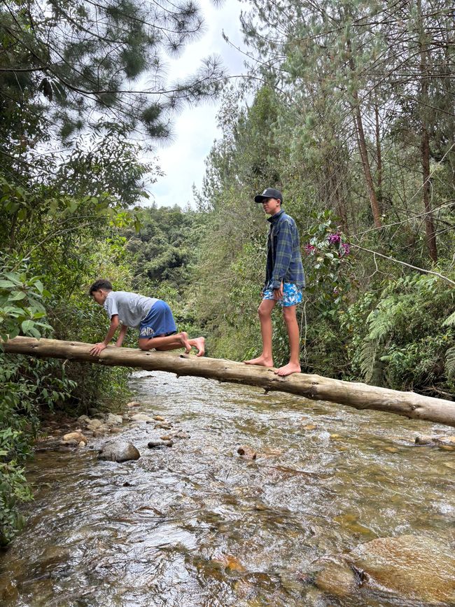 Semaine 26-28 : Au revoir, Colombie