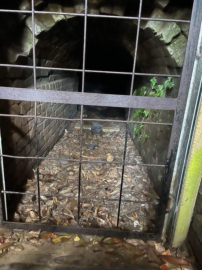 Blue Mountains - Kohlebergbau