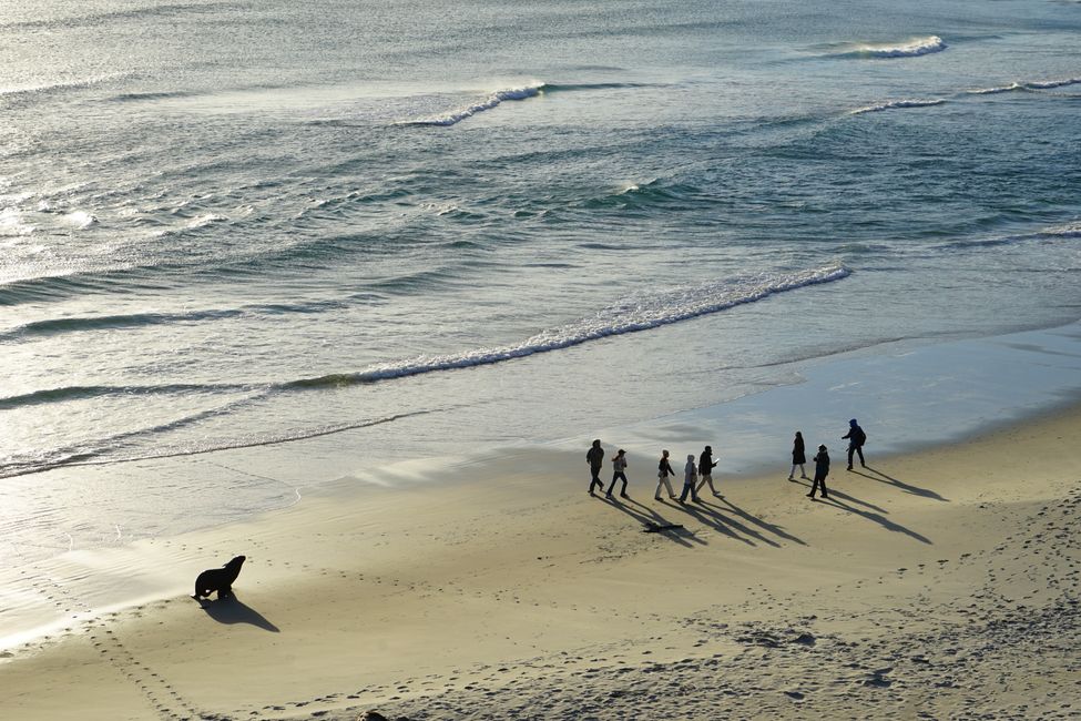 Timaru - Oamaru - Moeraki - Dunedin - Otago Peninsula - Oamaru