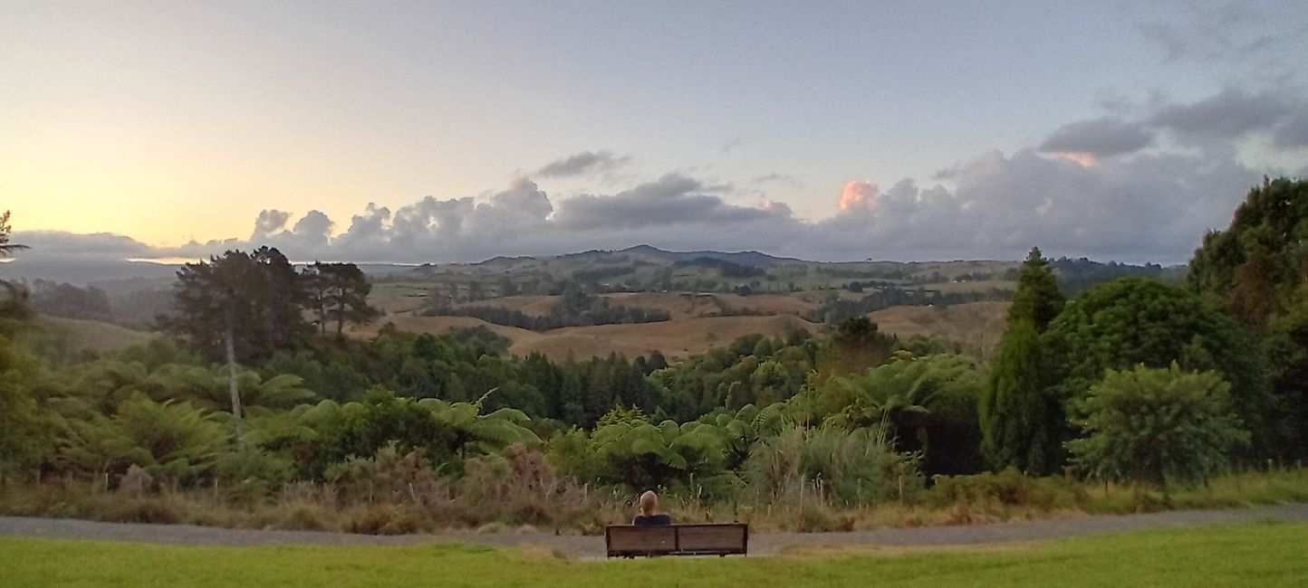 Tauranga