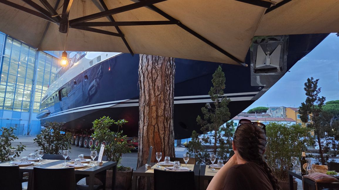 Mangusta 94