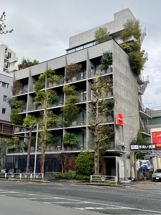 Parte 7
BENVENUTO IN GIAPPONE 🇯🇵
TOKYO