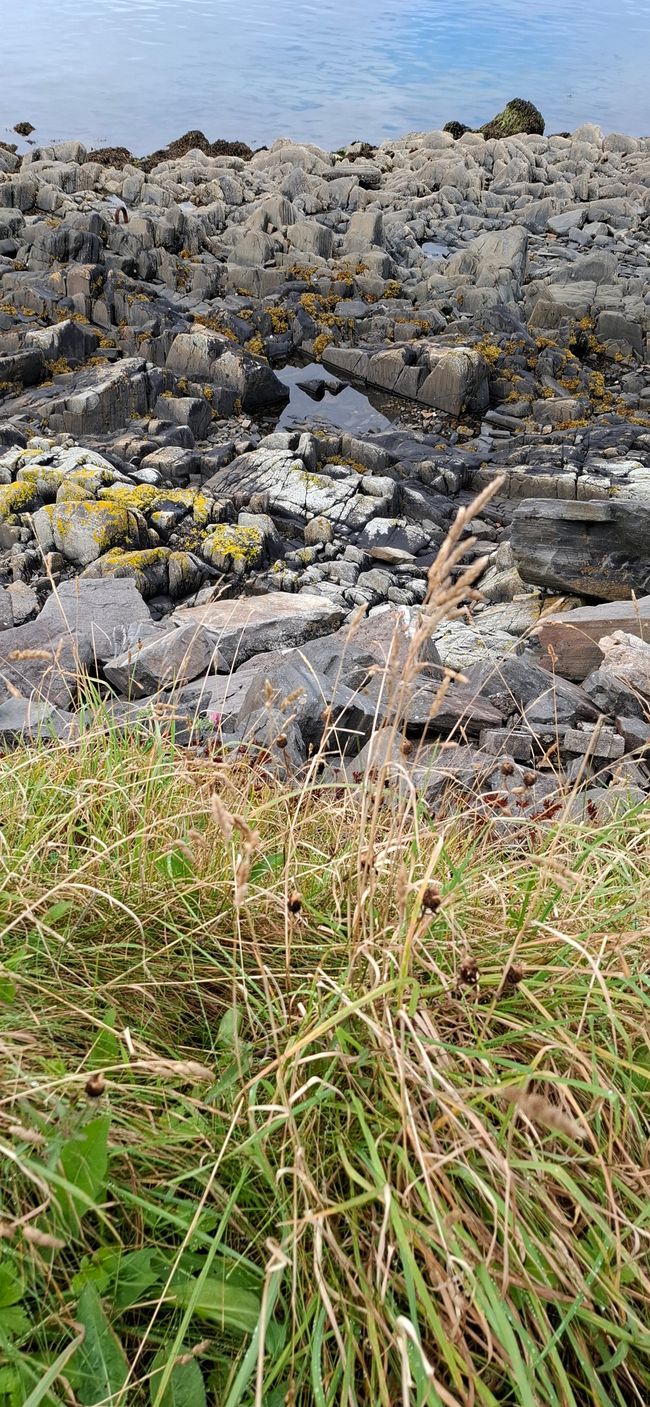 Tag 9 - Fort William <-> Mallaig
