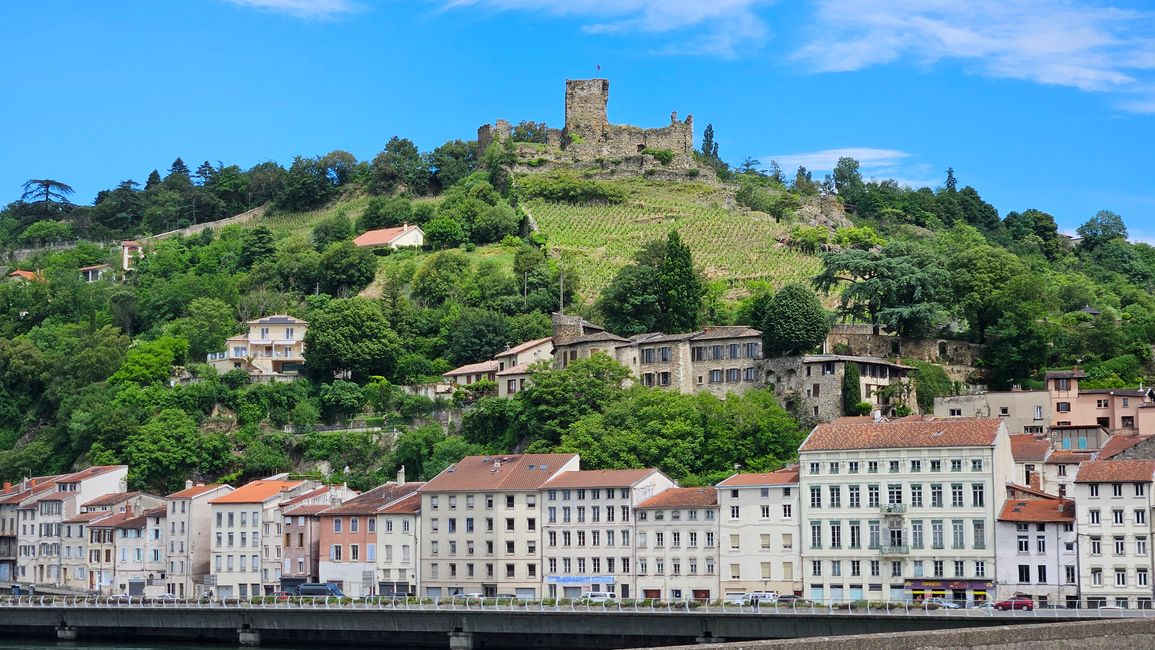 Vienne