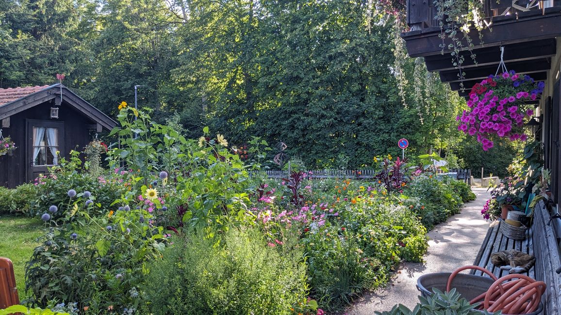 Garten vor der Unterkunft 