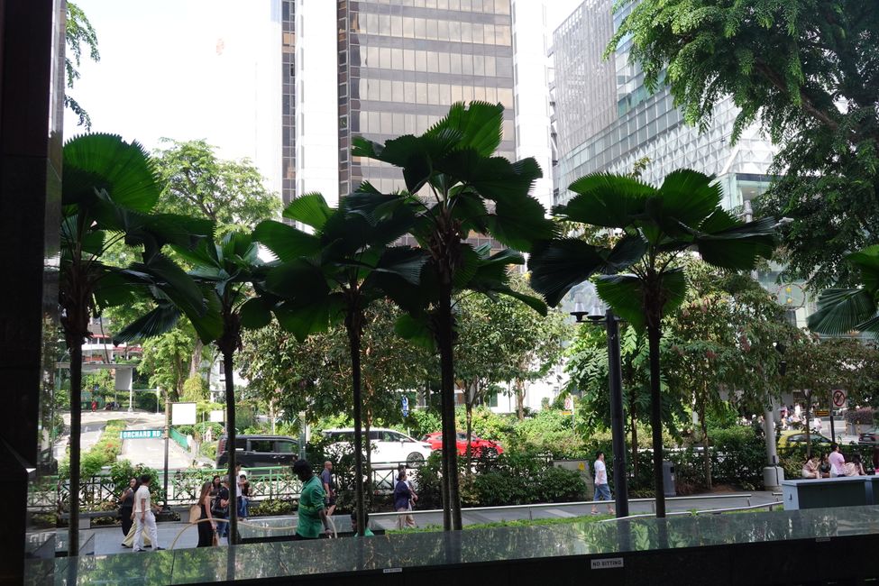 Orchard Rd in Singapore ....
