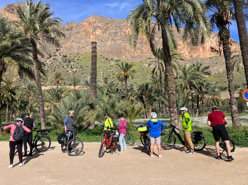 Rast im Palmengarten