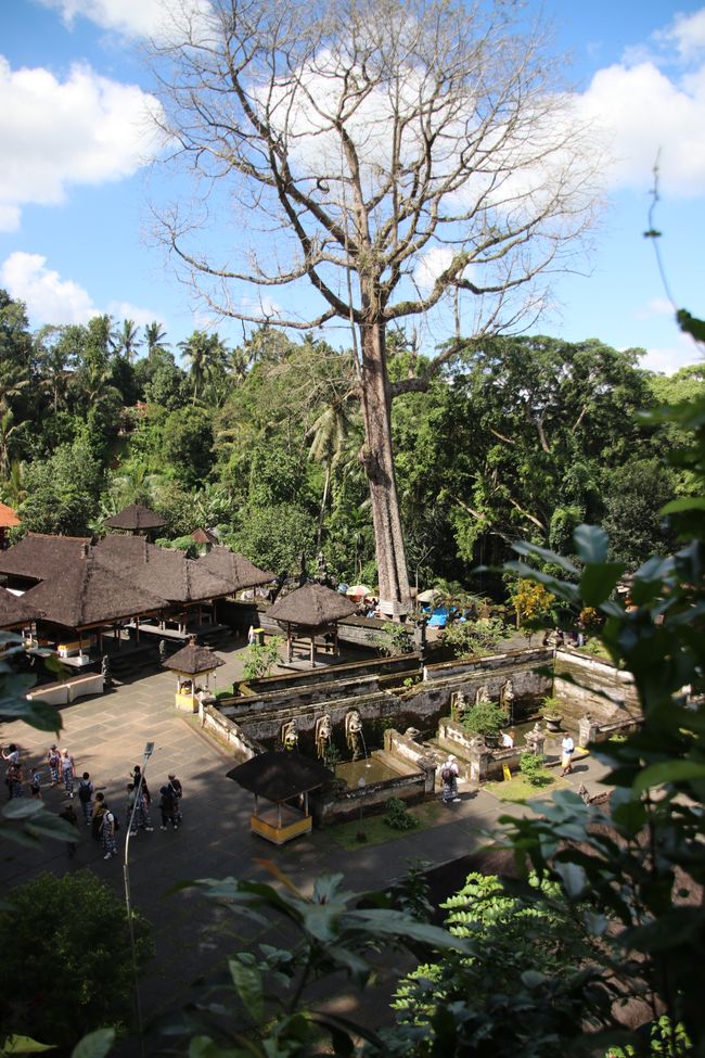Day 11: Ubud and the Southern Tip of Bali