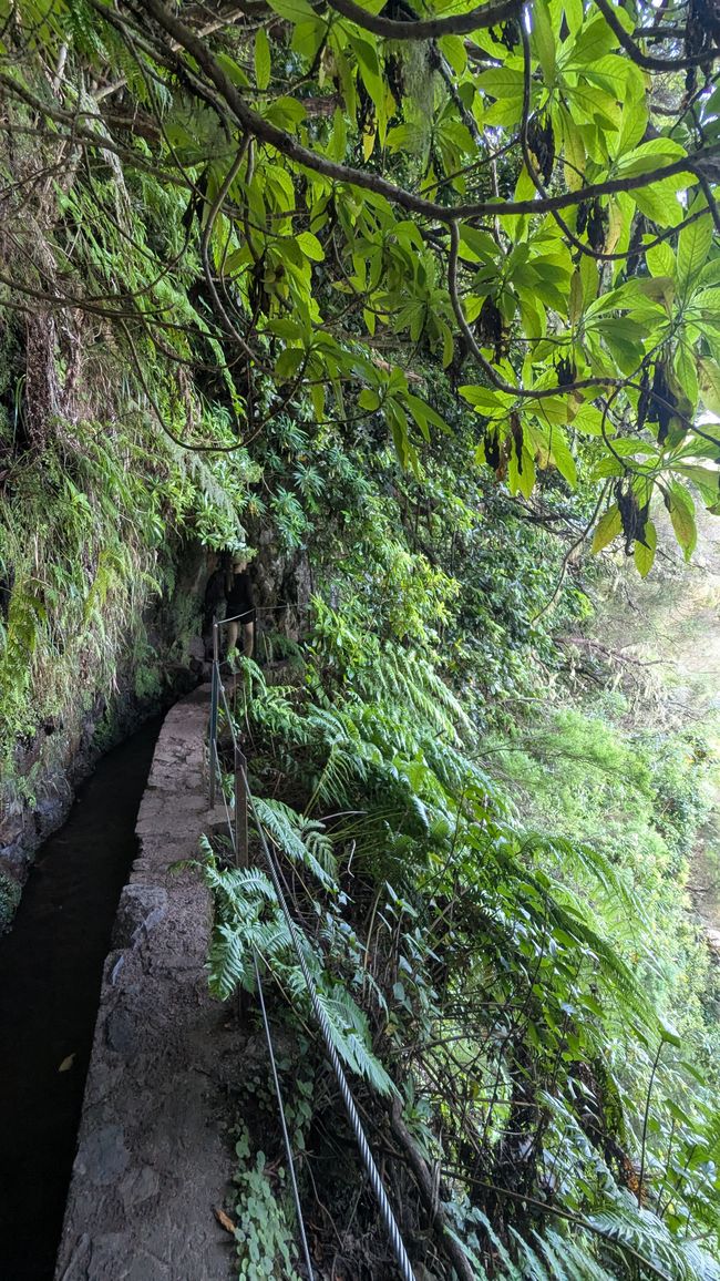 Tag 14: Levada do Caldeirão Verde & Nordküste