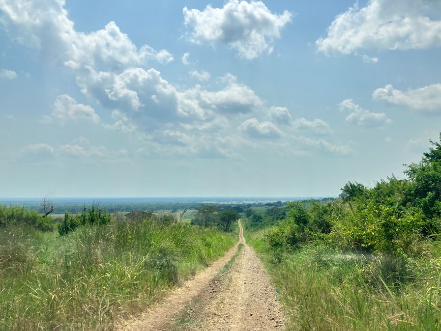 Queen Elizabeth Nationalpark