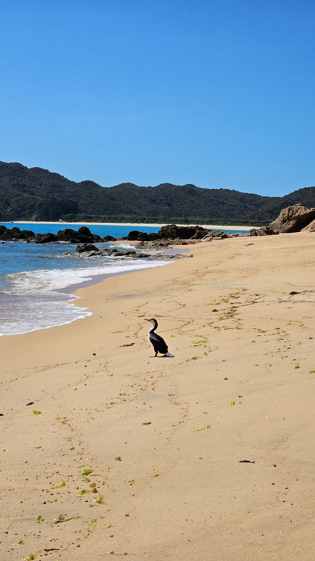 Abel Tasman Coastal Track