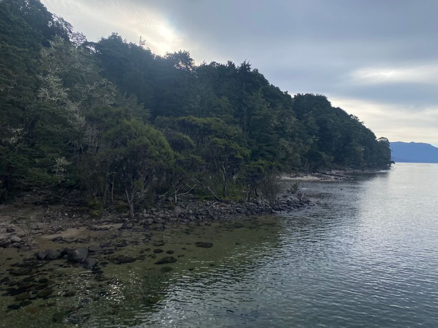 Among the glowing glowworms