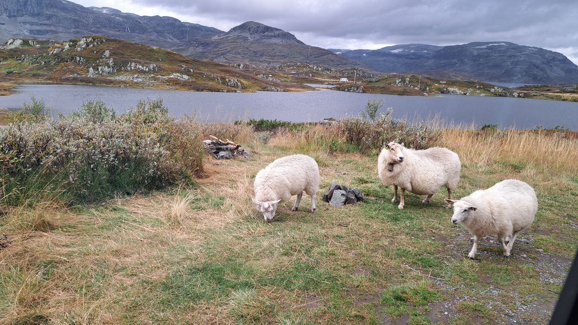 Besucher