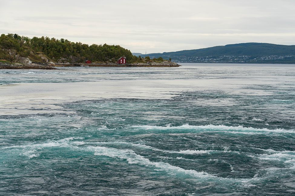 Einmal Lofoten und zurück