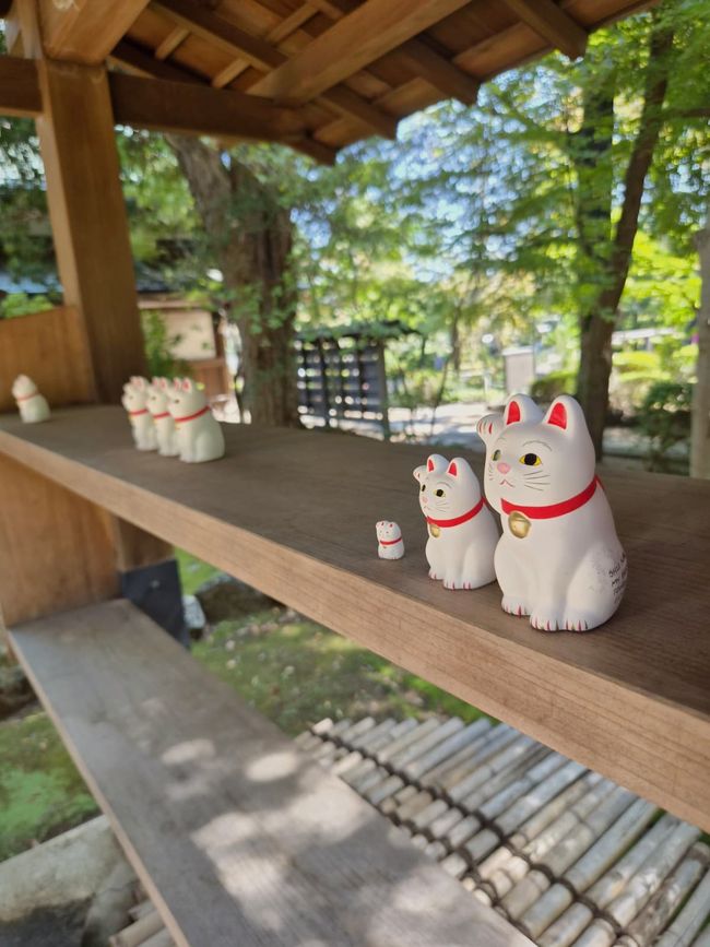 Templo de Gato / Gōtoku-ji