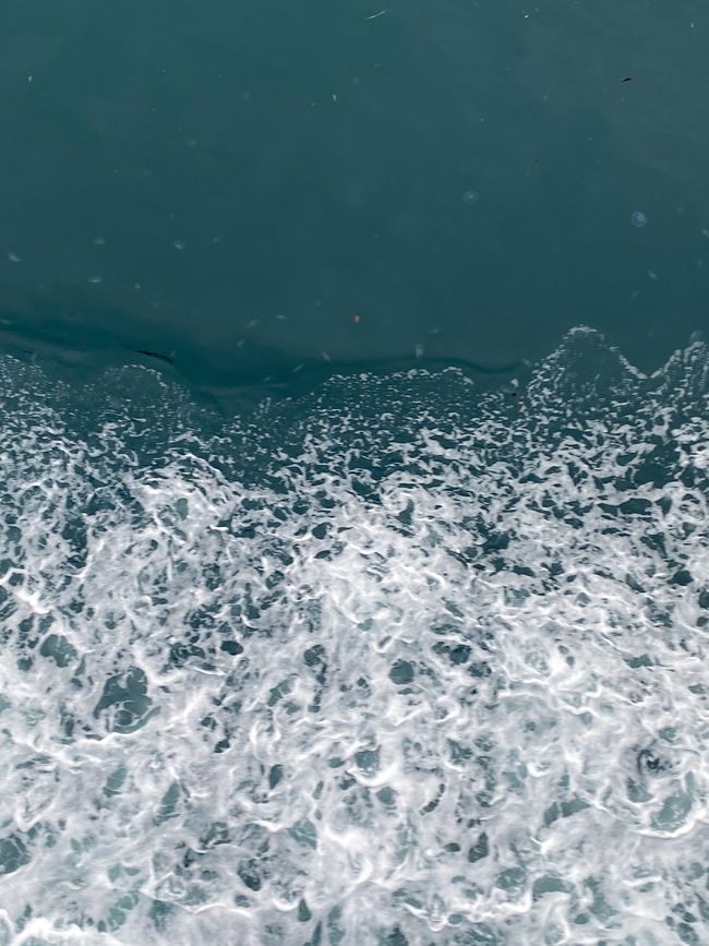 Off to the North Island