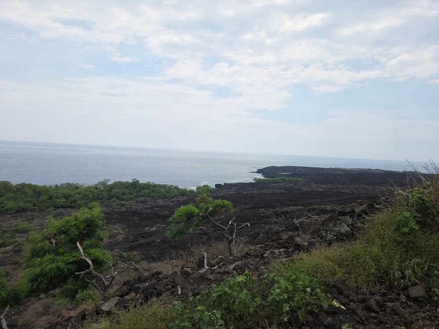 20. Big Island Monumento del Capitán Cook