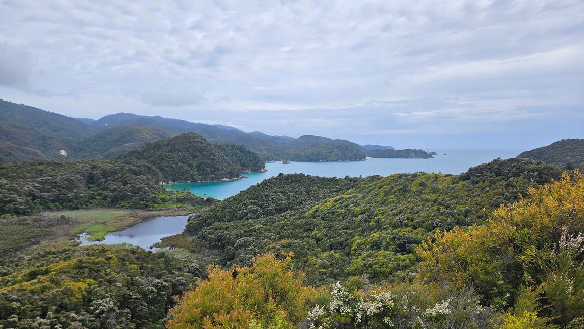 Abel Tasman Coastal Track