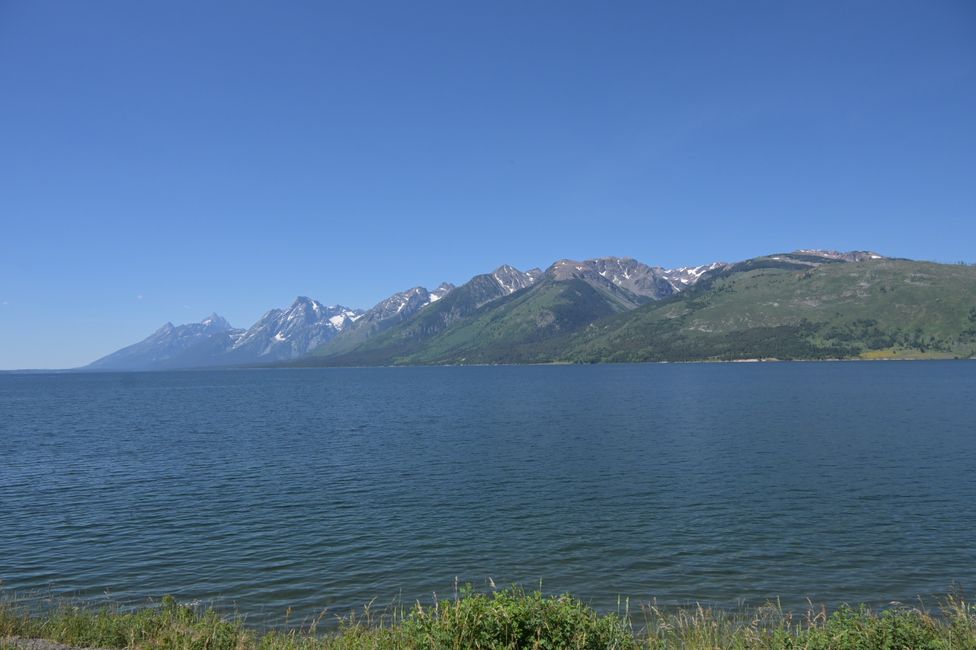 Blick über den Jackson Lake