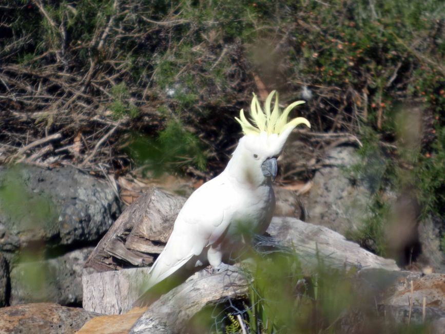 Halls Gap - Grampians-Nationalpark