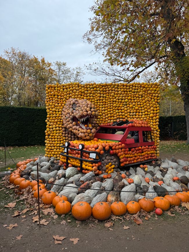 📍 Esposizione di zucche, Ludwigsburg/ 📍 Pumpkin exhibition, Ludwigsburg